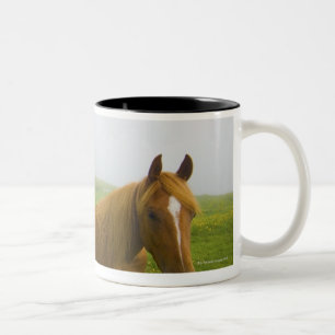 Venetien Italien 2 Zweifarbige Tasse