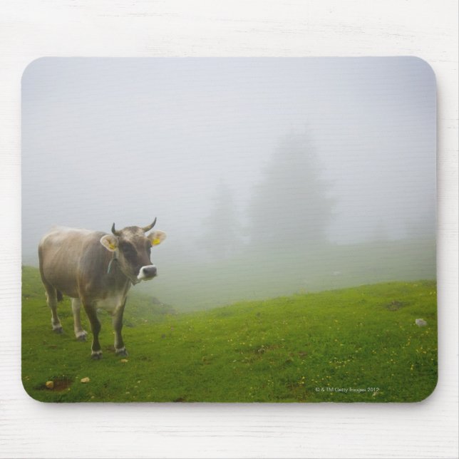 veneto italy mousepad (Vorne)