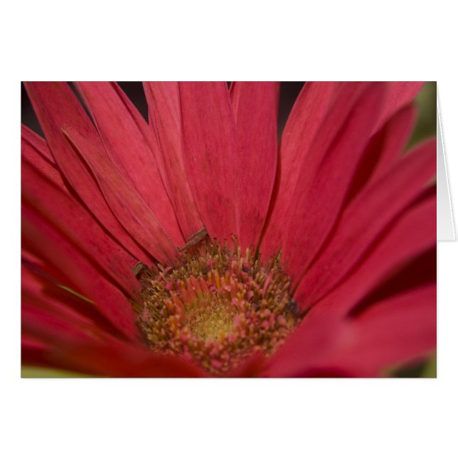 Venez à votre carte Senses (Devant horizontal)