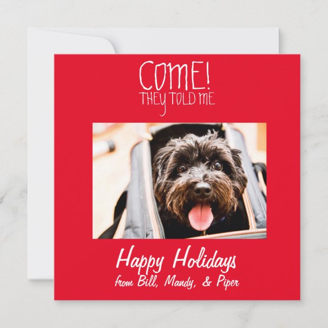 VENEZ ! Carte de vacances pour animaux (Devant)