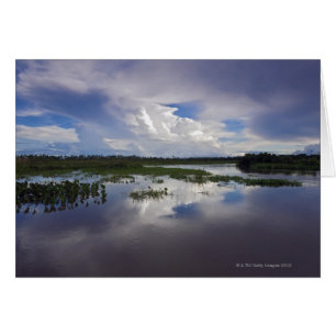 Venezuela, Delta Amacuro, Delta de l'Orinoco