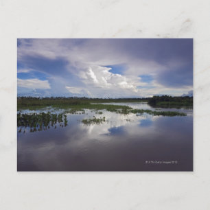 Venezuela, Delta Amacuro, Orinoco-Delta Postkarte
