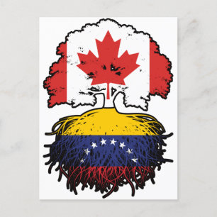 Venezuela Venezuelan kanadische Treppenroots Postkarte