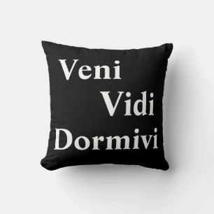 Veni Vidi Dormivi kam ich sah ich geschlafen Kissen