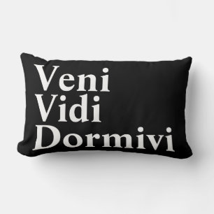 Veni Vidi Dormivi kam ich sah ich geschlafen Lendenkissen