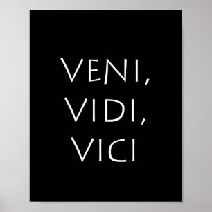 Veni vidi vici poster