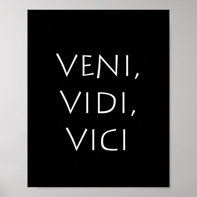 Veni vidi vici poster (Vorne)