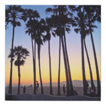 Venice Beach Sunset Palm Tree Slackline Volleyball
