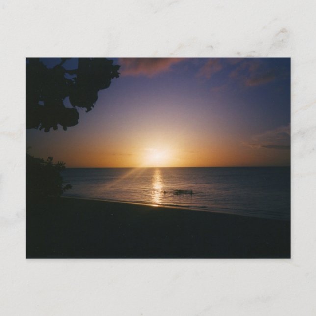 Venice Beach Sunset Postkarte (Vorderseite)