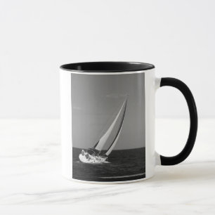 Vent et tasse de voiles
