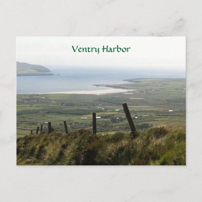 Ventry Hafen, Dingle, Kerry, Irland Postkarte (Vorderseite)