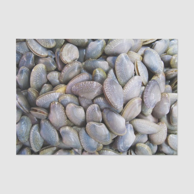 Venus Clam [ห อ ย ล ย] Seidenpapier (Vorderseite)