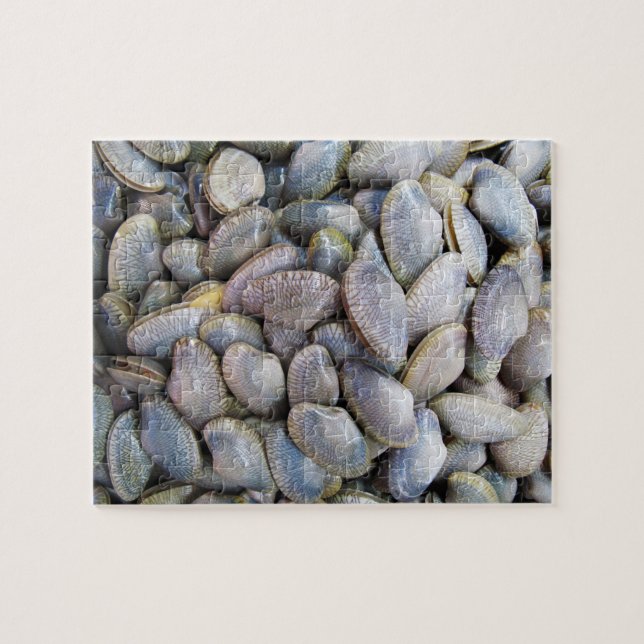 Venus Clam [ห อ ล า ย] (Horizontal)