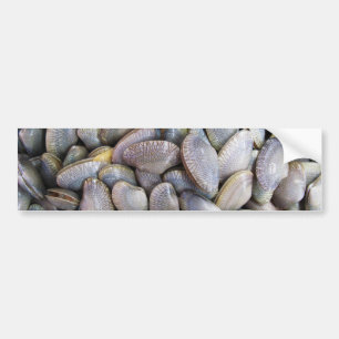 Venus Clam [ห อ ล า ย] Autoaufkleber