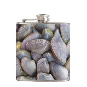 Venus Clam [ห อ ล า ย] Flachmann