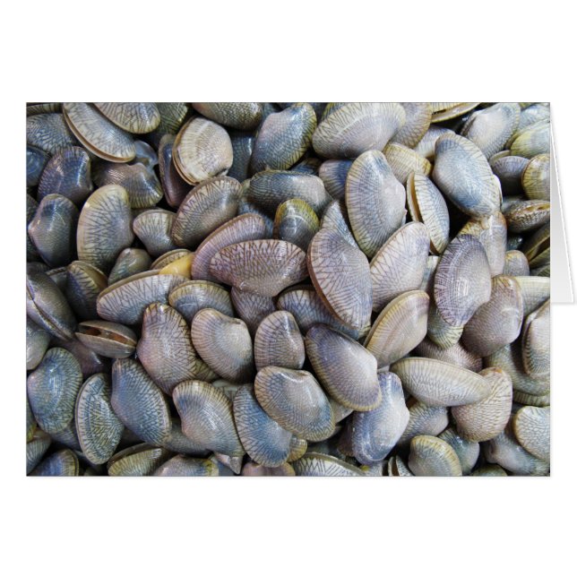 Venus Clam [ห อ ล า ย] Karte (Vorderseite (Horizontal))