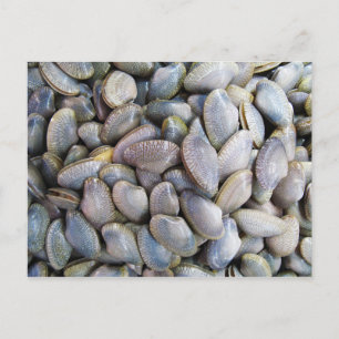 Venus Clam [ห อ ล า ย] Postkarte