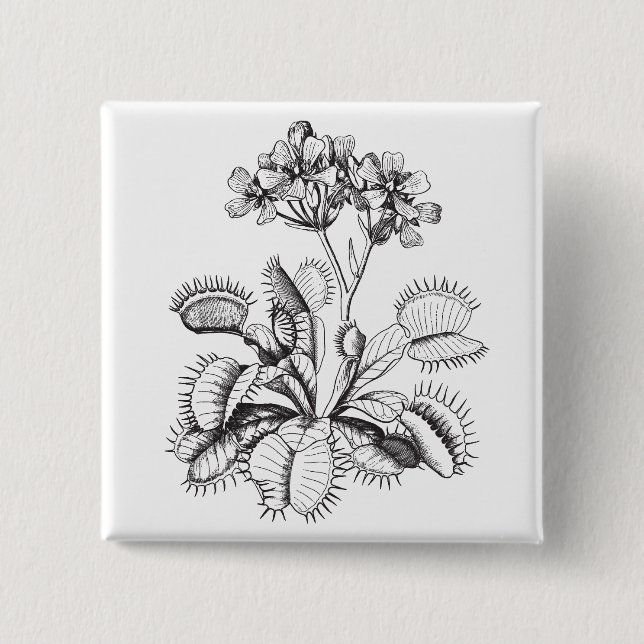 Venus Fliegenfalle Button (Vorderseite)