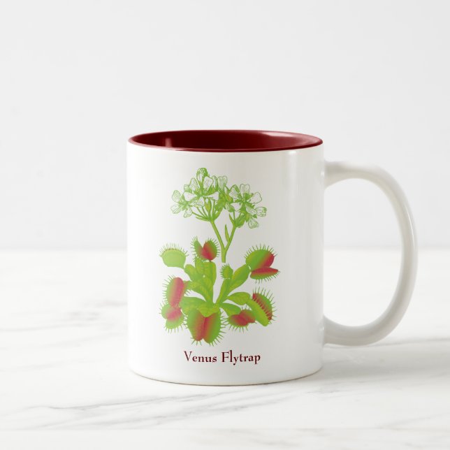 Venus Fliegenfalle Kaffee-Tasse Zweifarbige Tasse (Rechts)