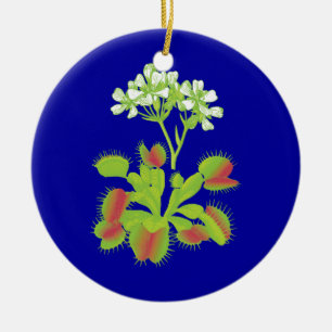 Venus Fliegenfallen Blumenverzierung Keramikornament
