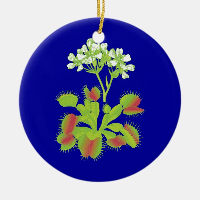 Venus Fliegenfallen Blumenverzierung Keramikornament (Vorne)