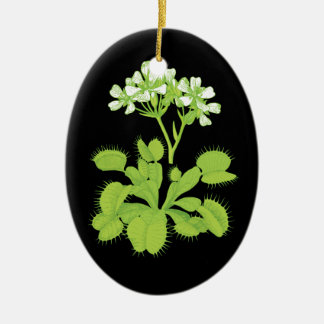 Venus Fliegenfallen Verzierung Keramik Ornament