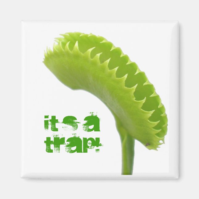 Venus Fly Trap Magnet (Vorne)
