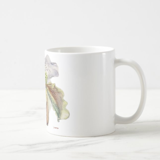 Venus (Frauenschuh) Kaffeetasse (Rechts)