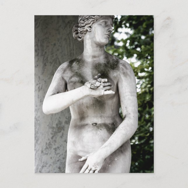 Venus Postcard Postkarte (Vorderseite)