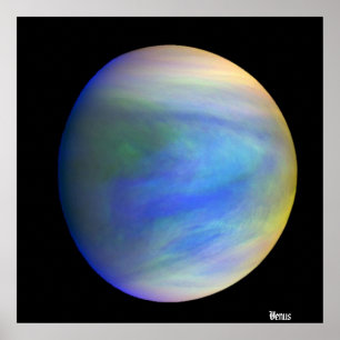 Venus / poster