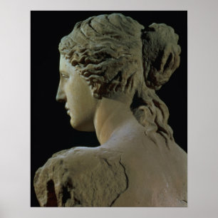 Venus von Milo, Detail der Rückseite des Kopfes, Poster