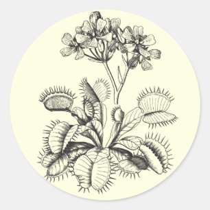Venusfliegenfalle-Aufkleber Runder Aufkleber