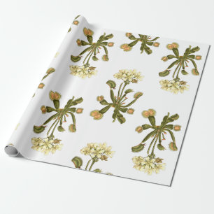 Venusflytrap-Blume Geschenkpapier