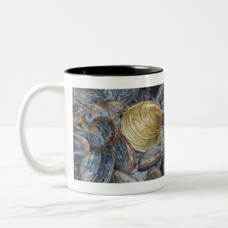 Venusmuscheln und Quahog-Schalen Zweifarbige Tasse
