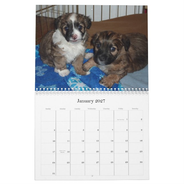 Vera und ihre Welpen Kalender (Jan 2027)