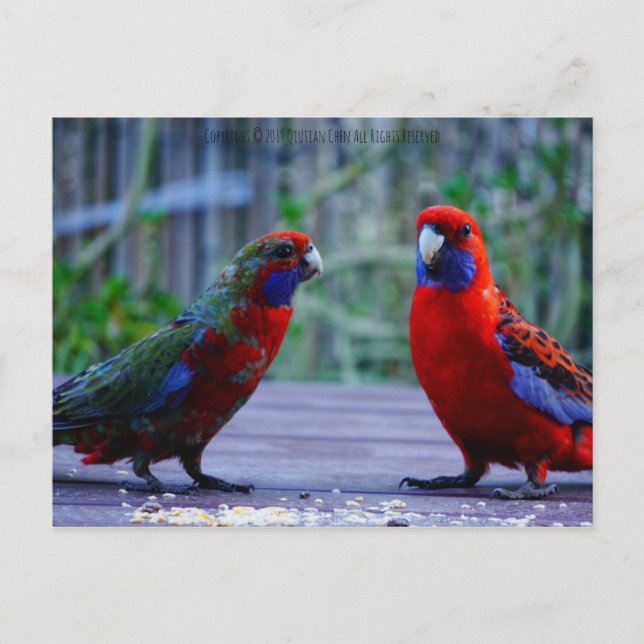 Verabred Postkarte (Vorderseite)