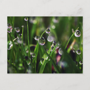 Veranda Reis Kinderzimmer Postkarte