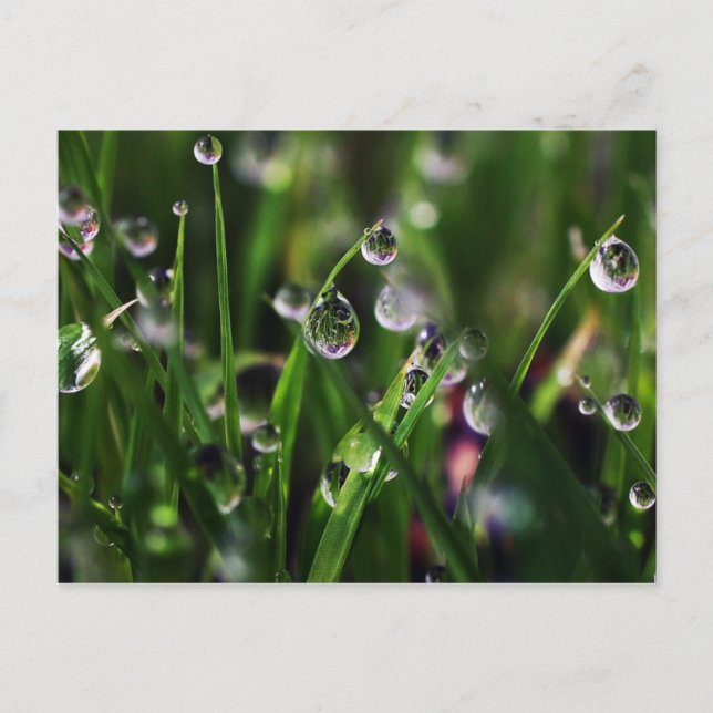 Veranda Reis Kinderzimmer Postkarte (Vorderseite)