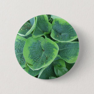 Veränderter Hosta-hellgrünes dunkelgrünes Blätter Button