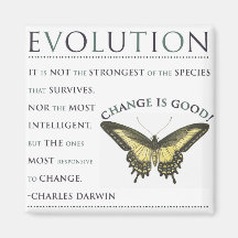 Veränderung der Evolution