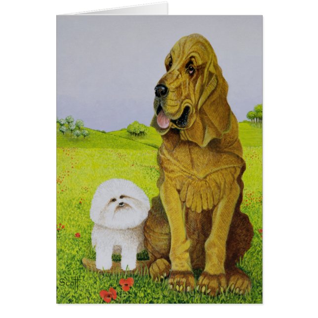 Verantwortlich (Vorne)