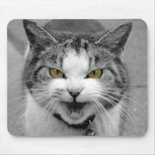 Verärgerte Katze Mousepad
