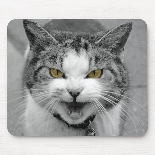Verärgerte Katze Mousepad (Vorne)