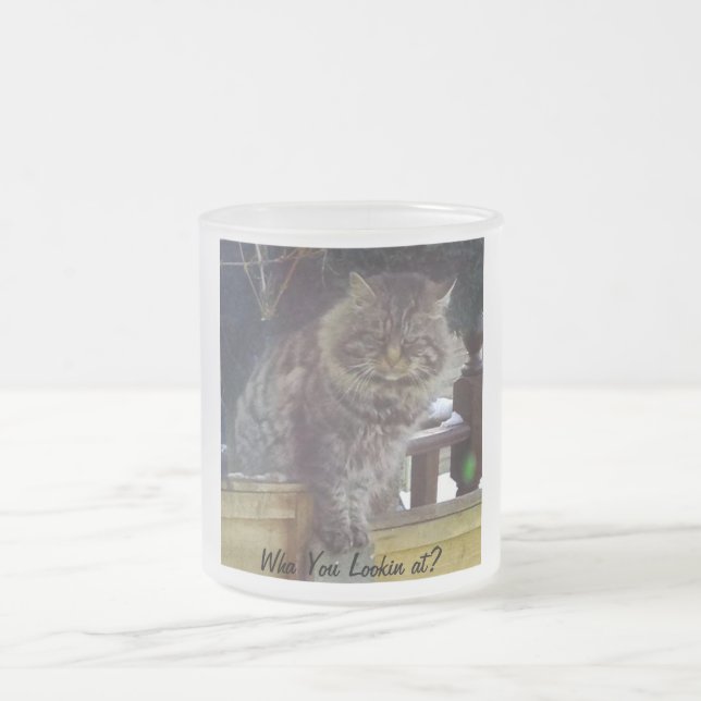 Verärgerte Katzen-mattierte Kaffee-Tasse Mattglastasse (Mittel)