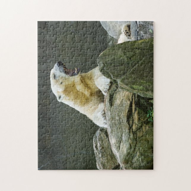 Verärgerter Eisbär (Vertikal)