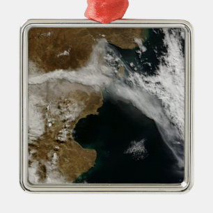 Veraschen Sie Feder von der Eruption von Chaiten Silbernes Ornament