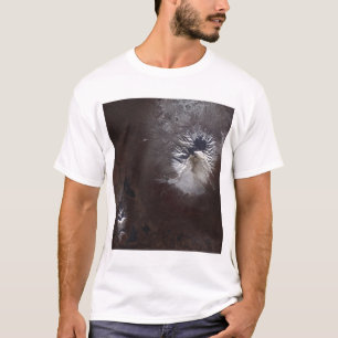 Veraschen Sie Flecke auf Russlands Shiveluch T-Shirt