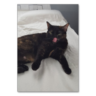 Verben, die leckende Katzen lesen Taschenkarten Er Tischnummer