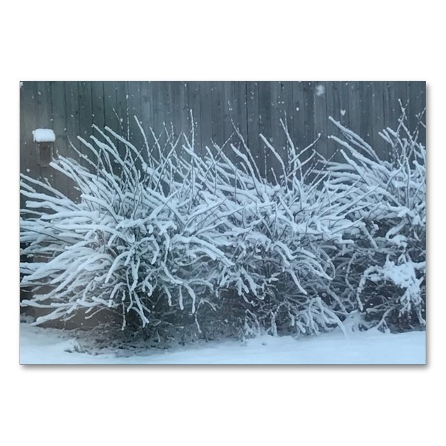 Verben mit Schneefräsen, Lesekarten Erwachsene Tischnummer (Vorderseite)