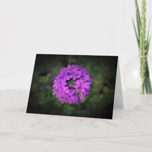 Verbena, Karte